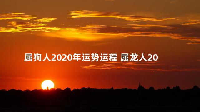 属狗人2020年运势运程 属龙人2023年运势运程